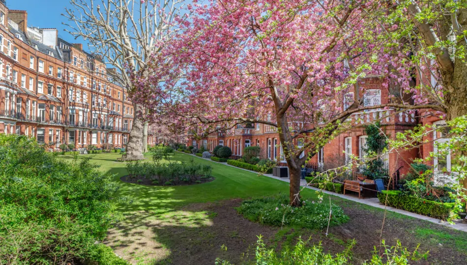 Egerton Gardens common area grounds